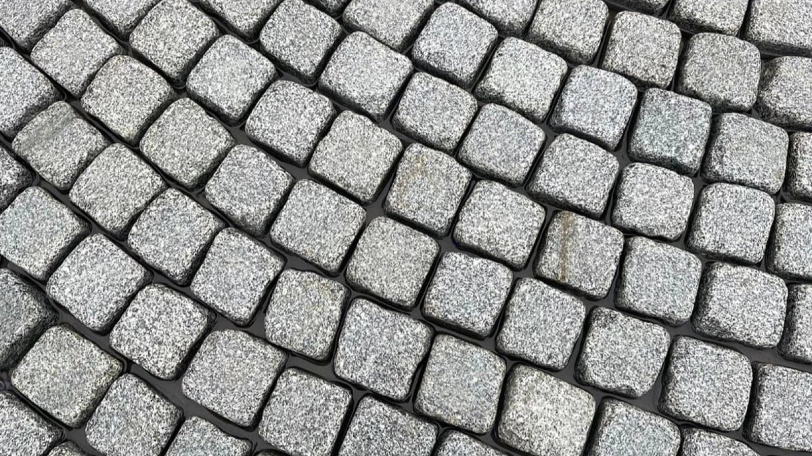 WhatsApp Image 2022-09-24 at 12.50.27